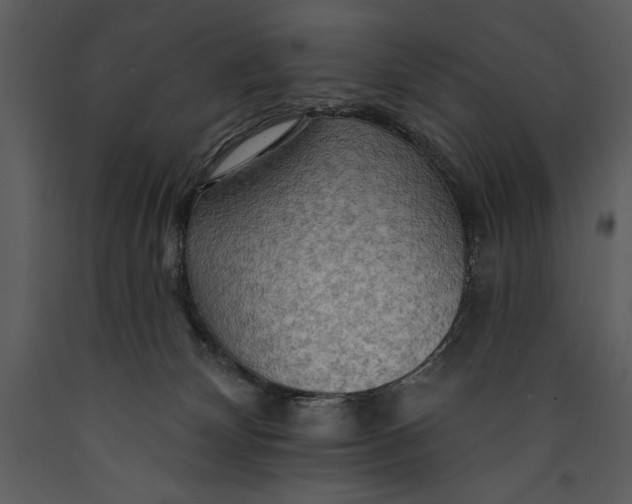 X0000089660132200707191657