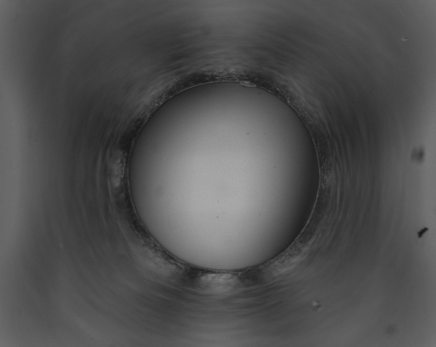 X0000089660133200707191657