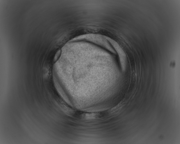 X0000089660134200707191657