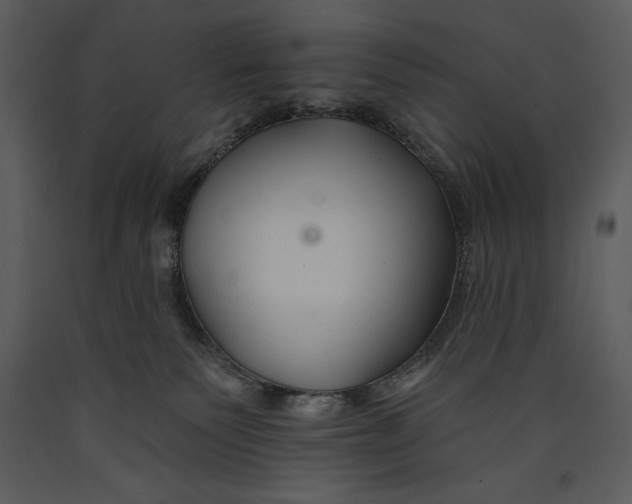 X0000089660135200707191657