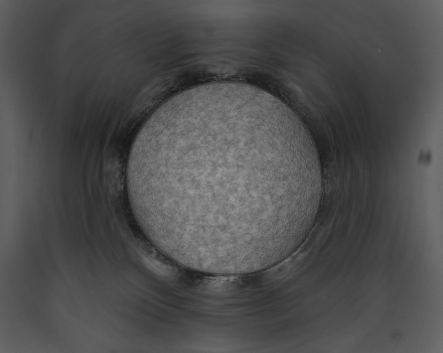 X0000089660136200707191657