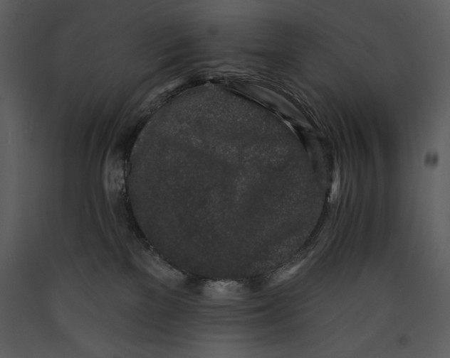 X0000089660137200707191657