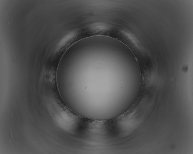 X0000089660138200707191657