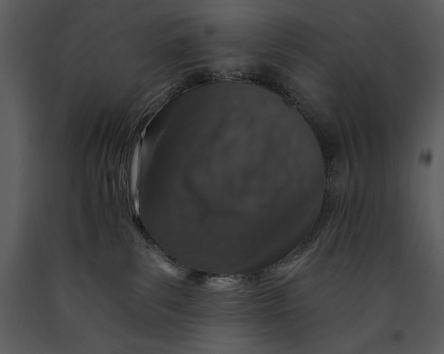 X0000089660139200707191657