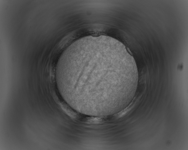 X0000089660140200707191657