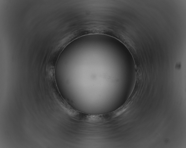 X0000089660141200707191657