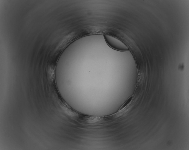 X0000089660142200707191657