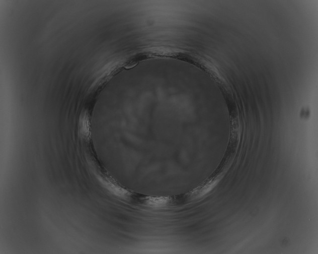 X0000089660143200707191657