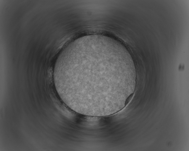 X0000089660144200707191657