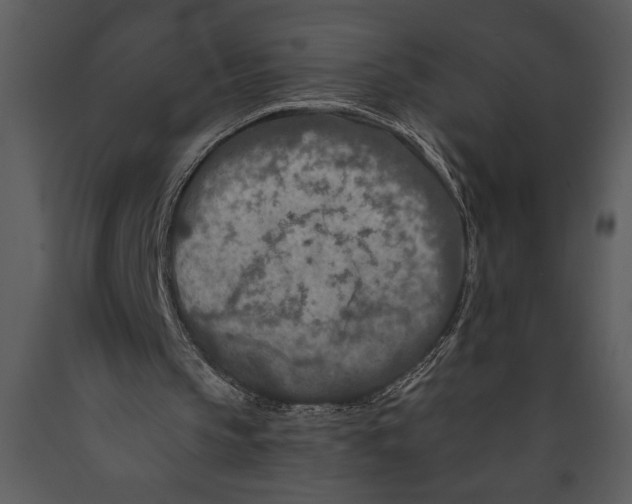X0000089660145200707191656