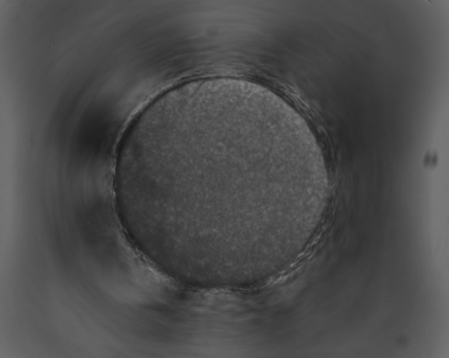 X0000089660146200707191656