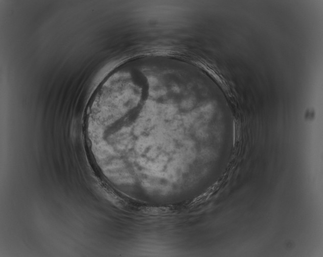 X0000089660147200707191656