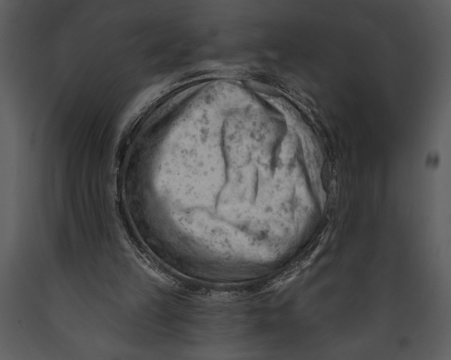 X0000089660149200707191656