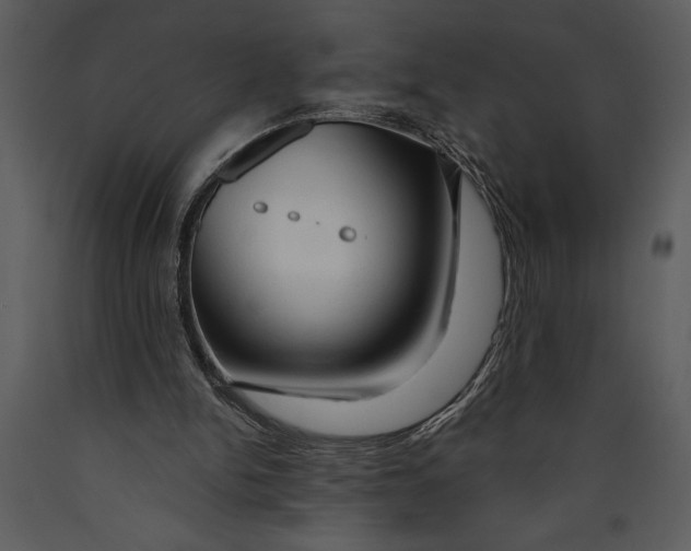 X0000089660150200707191656
