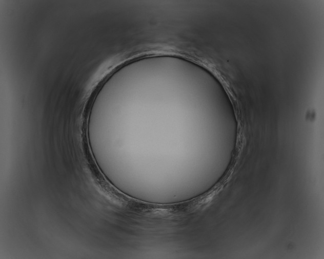 X0000089660151200707191656