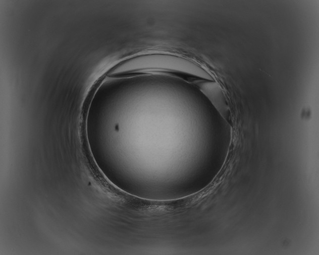 X0000089660152200707191656
