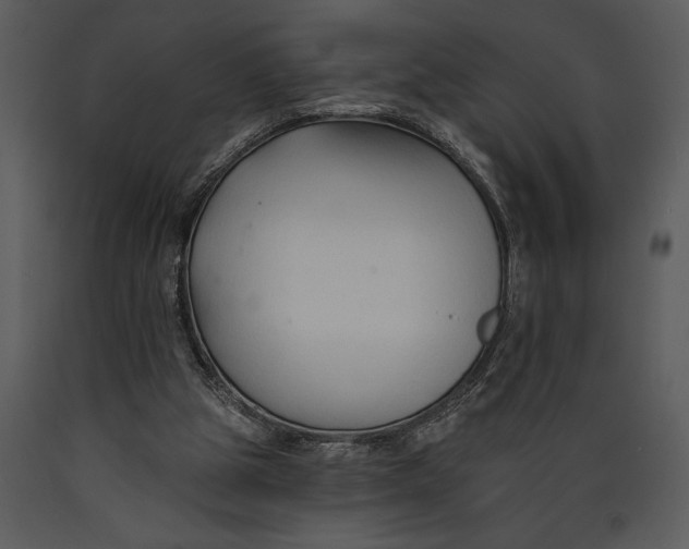 X0000089660153200707191656