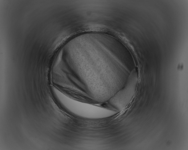 X0000089660154200707191656