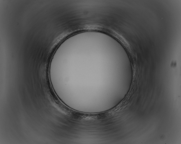 X0000089660155200707191656