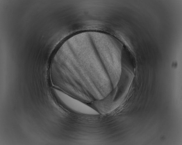 X0000089660156200707191656