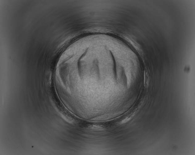 X0000089660157200707191656