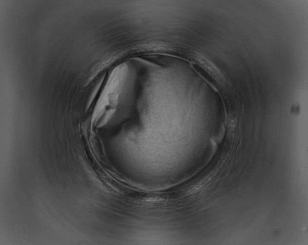 X0000089660158200707191656