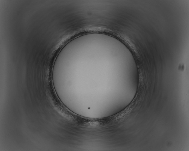 X0000089660159200707191656