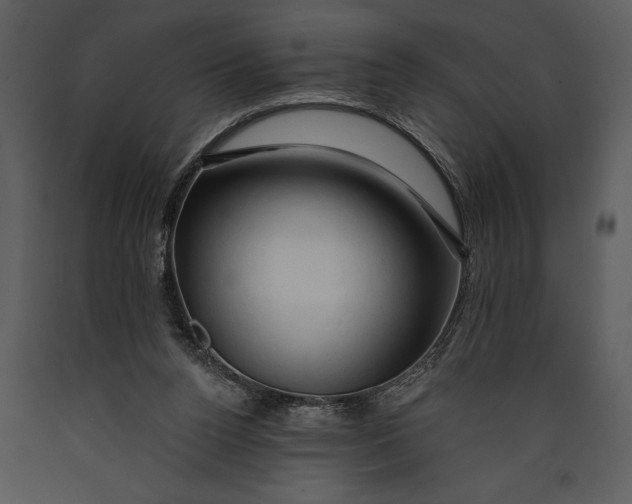 X0000089660160200707191656