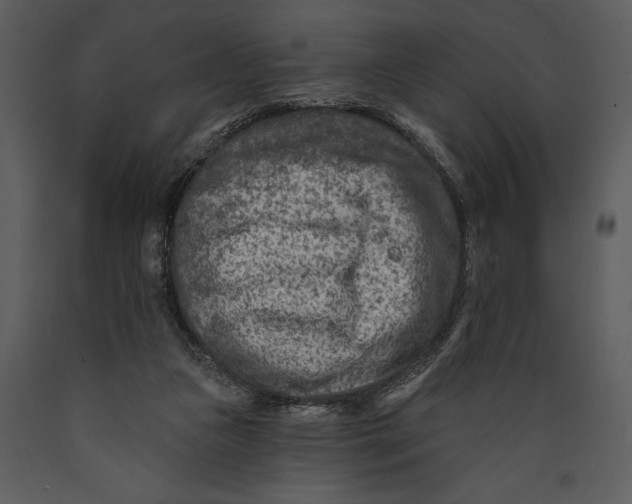 X0000089660161200707191656