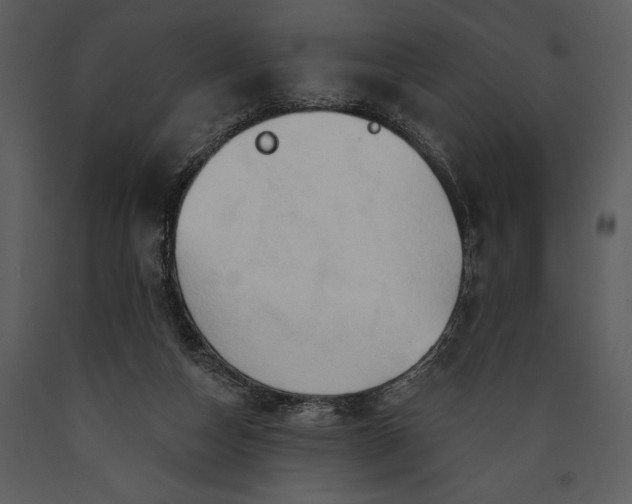 X0000089660162200707191656