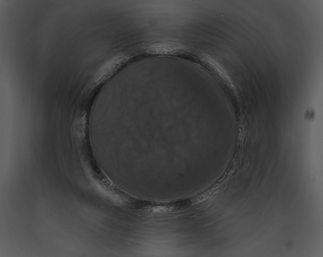 X0000089660163200707191656