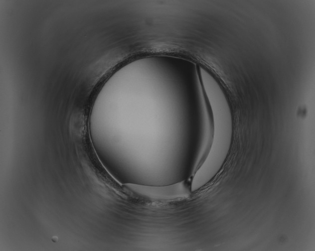 X0000089660164200707191656