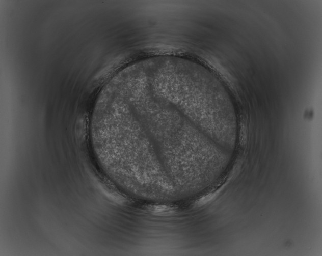 X0000089660165200707191656