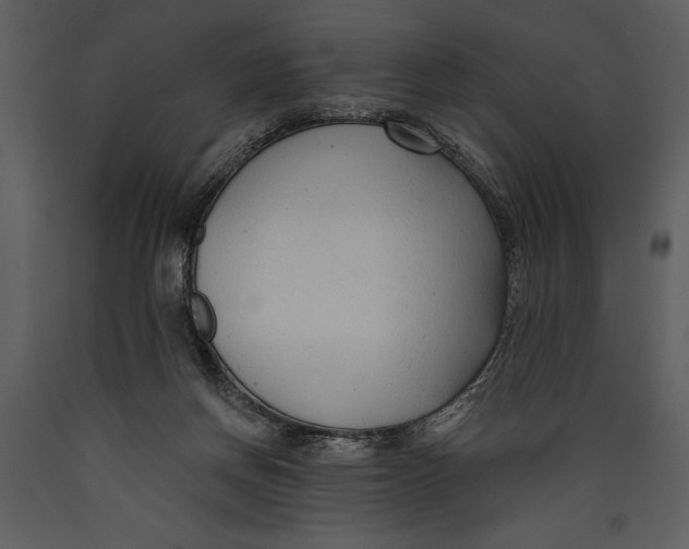 X0000089660166200707191656