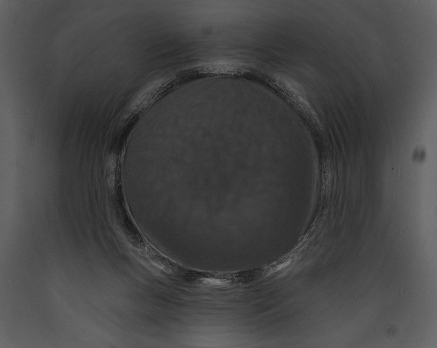 X0000089660167200707191656