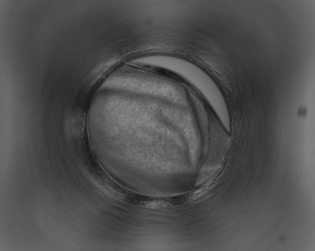 X0000089660168200707191656