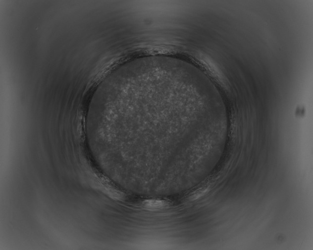 X0000089660169200707191656