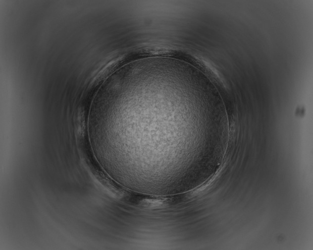 X0000089660170200707191656