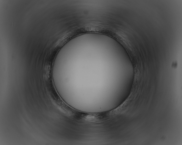 X0000089660171200707191656