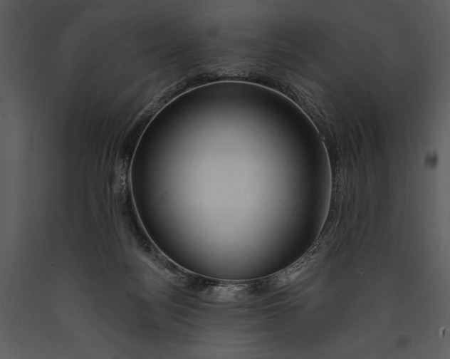 X0000089660172200707191656