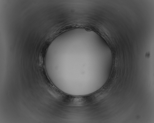 X0000089660173200707191656