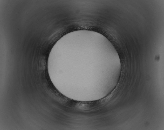 X0000089660174200707191656