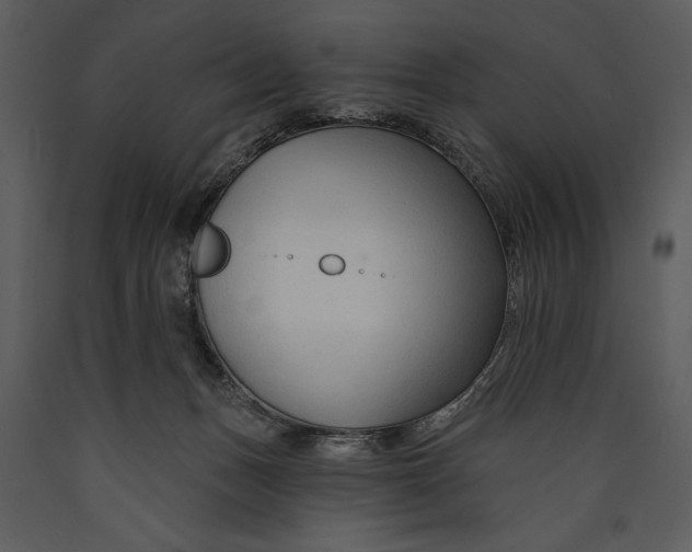 X0000089660175200707191656