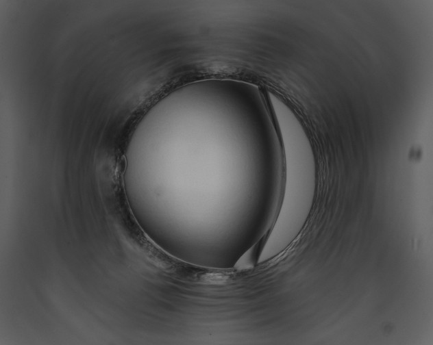X0000089660176200707191656