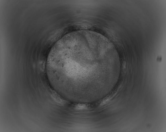 X0000089660177200707191656
