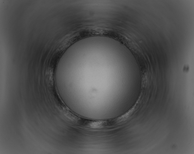 X0000089660178200707191656
