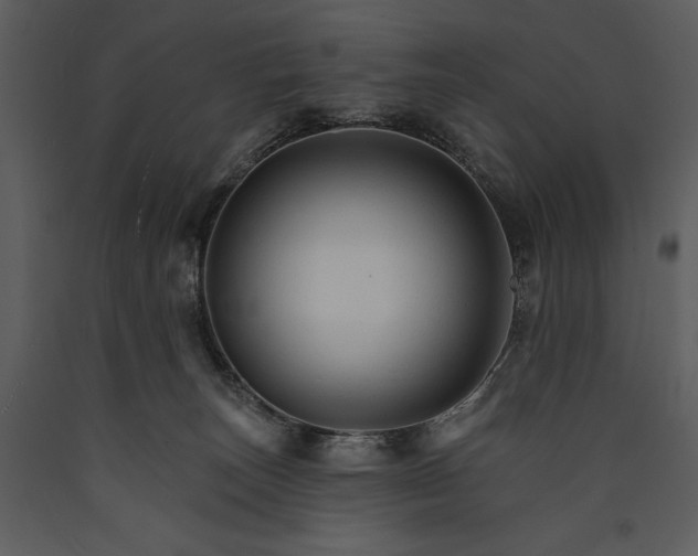 X0000089660179200707191657