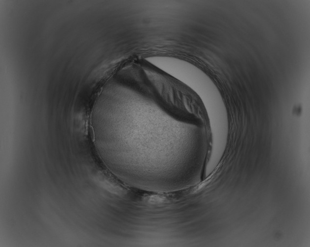 X0000089660180200707191657