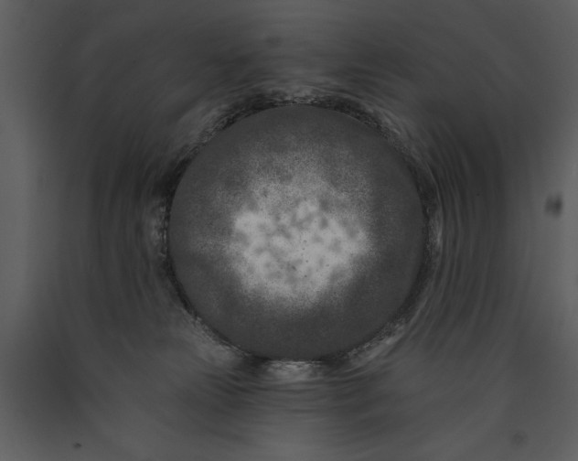 X0000089660181200707191657