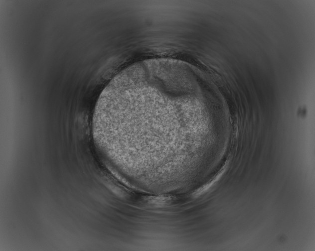 X0000089660182200707191657